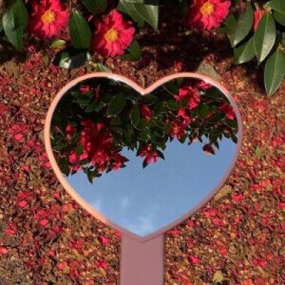 金沙集团9500下载手机版