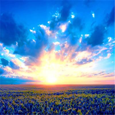 pk10赛车下载手机版