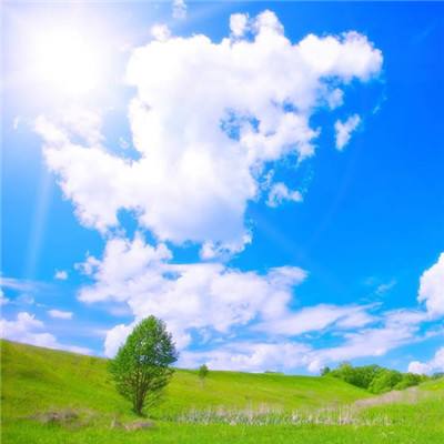 pg游戏麻将胡了网址