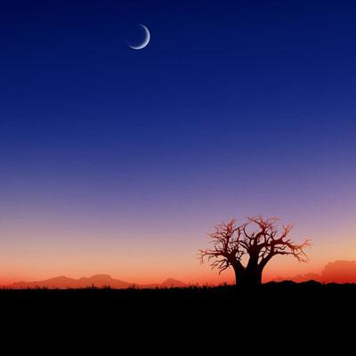 开云app手机版下载截图