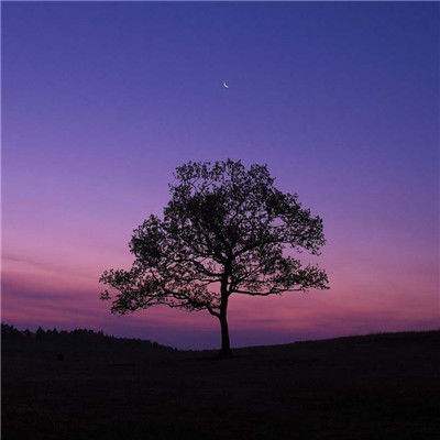 半岛App下载体育