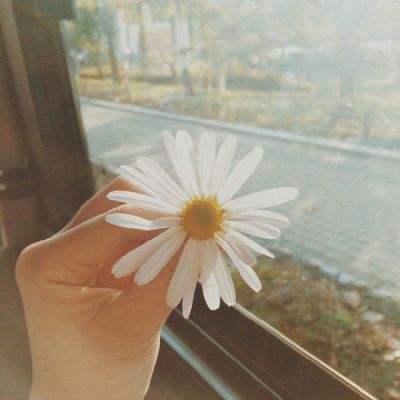 pg麻将胡了下载app下载截图