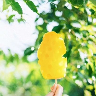 开云app手机版下载