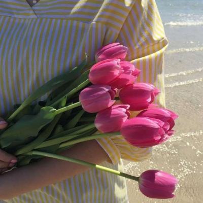 pg麻将胡了下载app下载截图